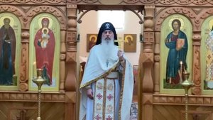 МЫ ТЕРЯЕМ СВОИХ ДЕТЕЙ!!! Схиигумен Гавриил (Виноградо?