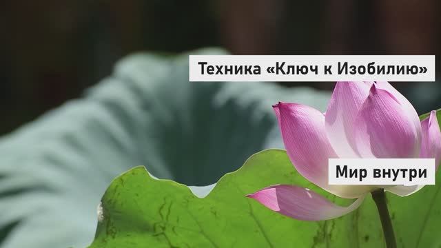 Джо Витале: СЕКРЕТ ИСПОЛНЕНИЯ ЖЕЛАНИЙ! | Техника «Ключ к Изобилию