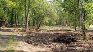 Вот и дошли руки до усадьбы " ВИНОГРАДОВО "