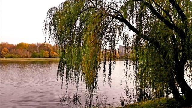 Песочные часы
