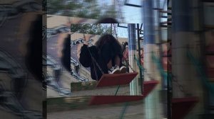 толпы кричат//nkeeei//speed up version