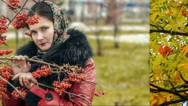 Ты не клонись, рябина смотреть онлайн