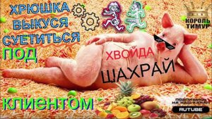 Суетливая Хрюшка: как Выкуся угождает клиенту #ТимурВкручивает #Мошенники #Аферисты #разводилы