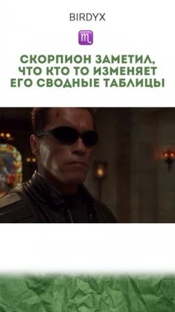 Одним словом - скорпион🔥#excel #знакизодиака #терминатор #скорпион #эксель #мем #гороскоп