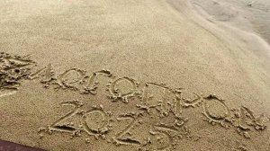 Намыв песка май 2025г ЛОГОПРОМ