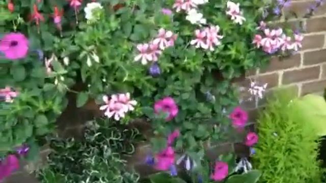 Красивое оформление дворика смотреть онлайн