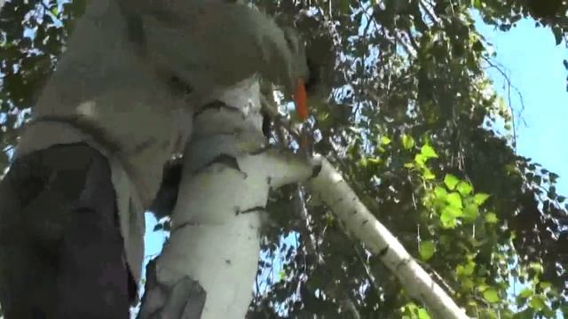 Хозяином в этом доме стал Никита Колесников. Посёлок Потеряевка.