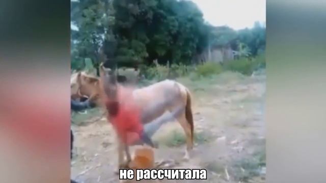 Новые приколы (18+) смотреть всем смотреть онлайн