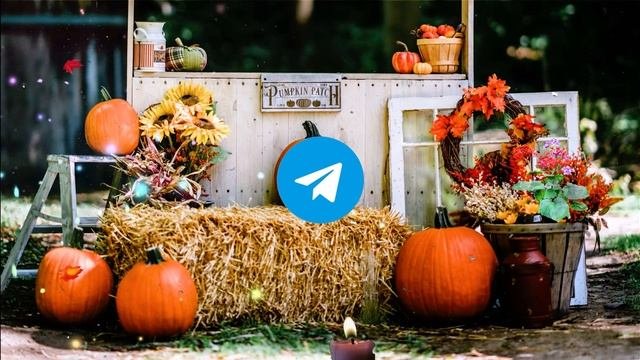 ПРИМЕТЫ 🎃 Тыквенный Спас: Новый Праздник Осени!