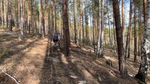 Stinger Genesis Evo 2024 Обзор от райдера