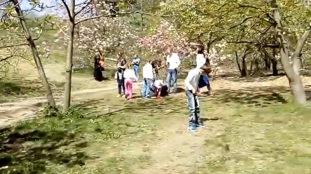 Магнолії в ботсаду Гришка смотреть онлайн