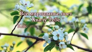 "Из праха коры земной" Караоке - МИНУС Анжелика и Анаст?