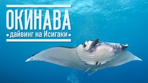 Дайвинг на Исигаки