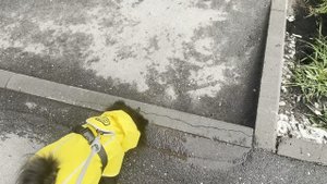 Смотрю фильм и показываю новый дождевик