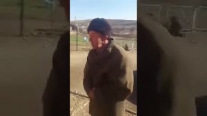 Приколы таджики курица беременная