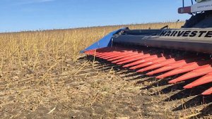 Работа безрядковой жатки Harvester: испытания и живые отзы