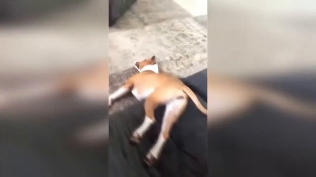 СМЕШНЫЕ МОМЕНТЫ лучшие приколы 2018 подборка приколов видео