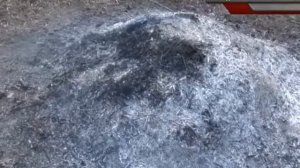 Особый режим