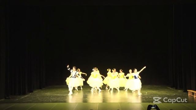 Patricia Soares, Stoyan Fartunov - Giselle - Балетна Школа "Лебед" - балет за възрастни начинаещи смотреть онлайн