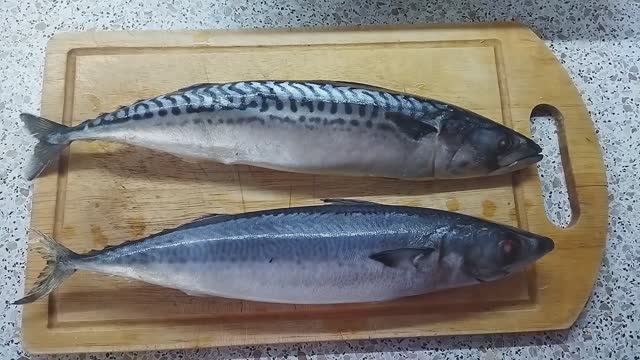 скумбрия и макрель из светофора. Готовим консервы и сравниваем.