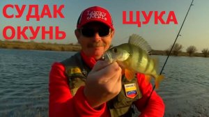 Константин Кузьмин. Lucky John. Окунь, судак и щука, 2013 год