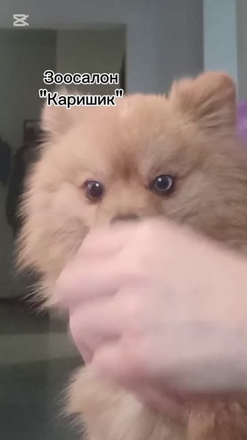Кормление малоежки