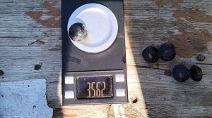 Новинки Винограда 🍇 2024!!!