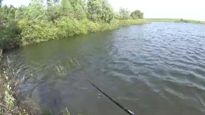 Рыбалка весной на спиннинг на красивом пруду