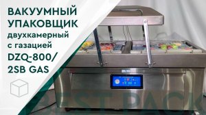 Вакуумный упаковщик DZQ-800/2SB GAS, двухкамерный с газацией