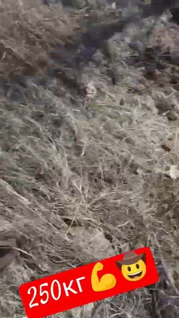 #металлокоп #коп #металл #металлоискатель #металопоиск смотреть онлайн