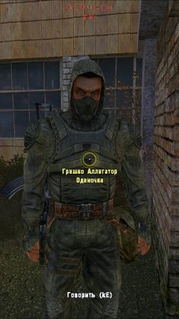 Шлагбаум. Stalker. #shorts