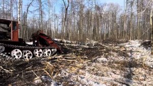 ТДТ-55, крупная береза🌳