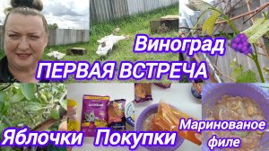 ПЕРВАЯ ВСТРЕЧА. ЗНАКОМСТВО. ОБРАБОТАЛА ОТ ТЛИ. ПОКУПКИ. МАРИНОВАННОЕ ФИЛЕ