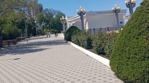 Анапа. Сегодня расплодилось после дождей. 21 мая 2025. 13.15