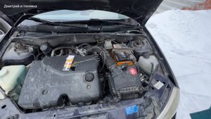 АНТИФРИЗЫ vs ЛАКМУСОВАЯ БУМАГА