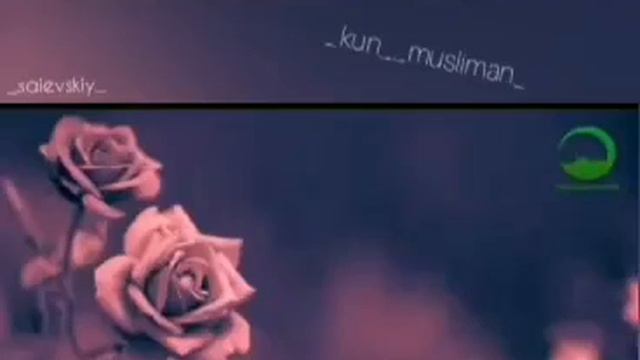 Вежри ладох смотреть онлайн