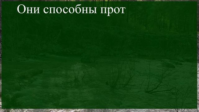 Может ли здоровый человек стать жертвой абьюза