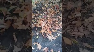 не ставил - не снимай!!!!