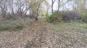 пробую стрелять из лука 60Lbs