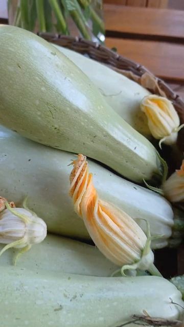 Урожай за день,результат посадки семян кабачков 2024 бе? смотреть онлайн