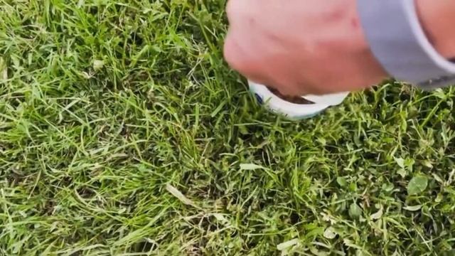 Рыбалка на пареную пшеницу. Как приготовить , чтобы кл? смотреть онлайн