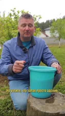 Готовим "убойное" средство от тли! Стоит копейки, а применяли ещё наши бабушки!