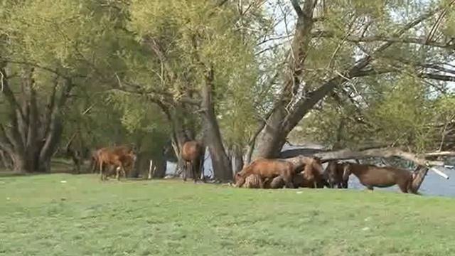 17.05.2013г смотреть онлайн