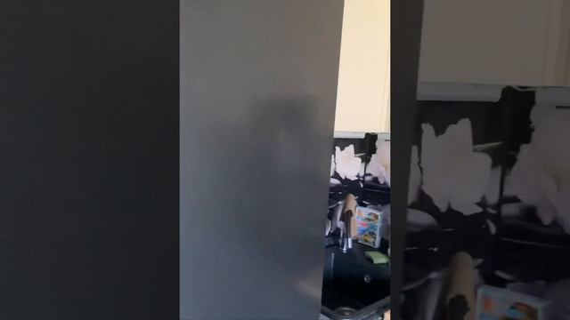 Готовлю картошку с грибами в сметане🤪😋 смотреть онлайн