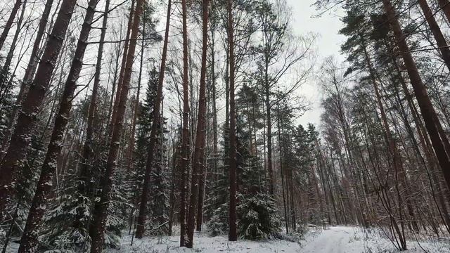 Без фэтбайка 9 месяцев, как оно? смотреть онлайн