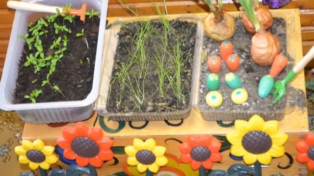 МДОУ №37 "ЭКОЛОГИЧЕСКИЙ ФЕСТИВАЛЬ-2017" смотреть онлайн