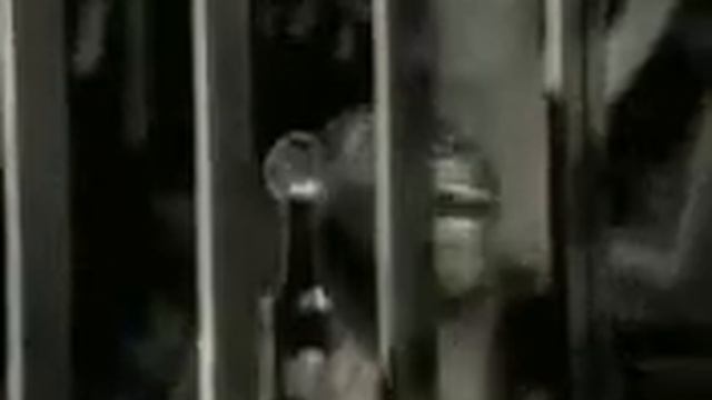 Видео бесплатно приколы наш прикол халява смотрите смотреть онлайн