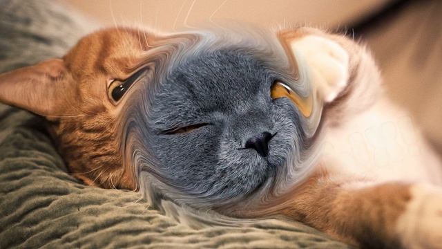 ОТЛИЧНЫХ ВЫХОДНЫХ!!!🤩😻😜 весёлых и радостных!🎉🎉🎉пожелание отличных выходных