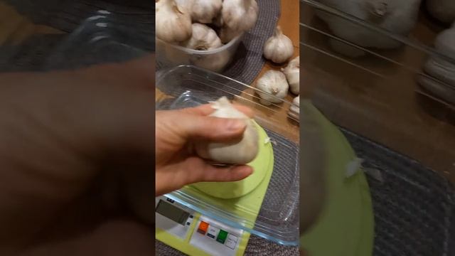 Чеснок для продажи. Урожай 2024 год, озимый. смотреть онлайн