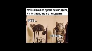 Смешные мемы. Лютые приколы. Выпуск №15